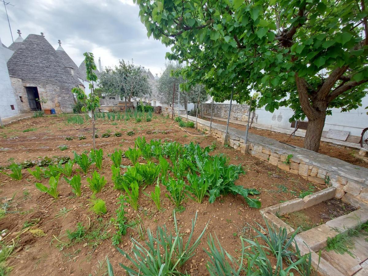 Сasa de vacaciones Il Trullo Di Giada E Mattia