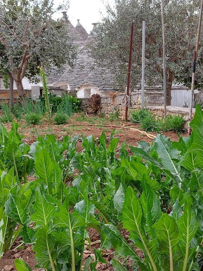 Il Trullo Di Giada E Mattia Сasa de vacaciones