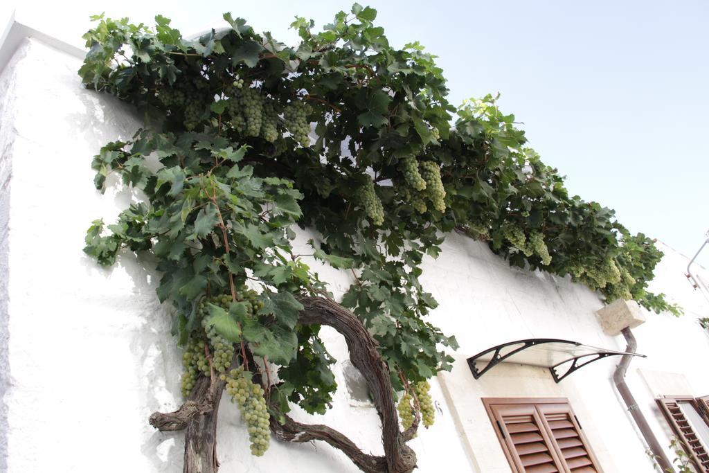 Il Trullo Di Giada E Mattia *